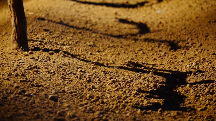 La obra 'Entre sombras', del logroñés Alfonso Aguilera, obtiene el primer premio del concurso de fotografía